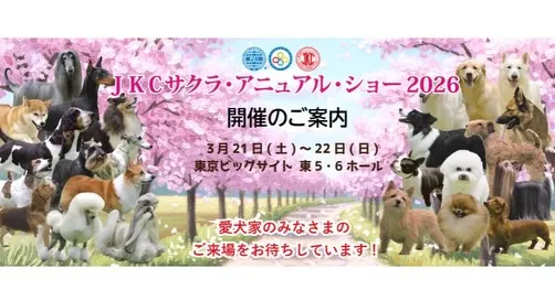 ◯ドッグショー◯