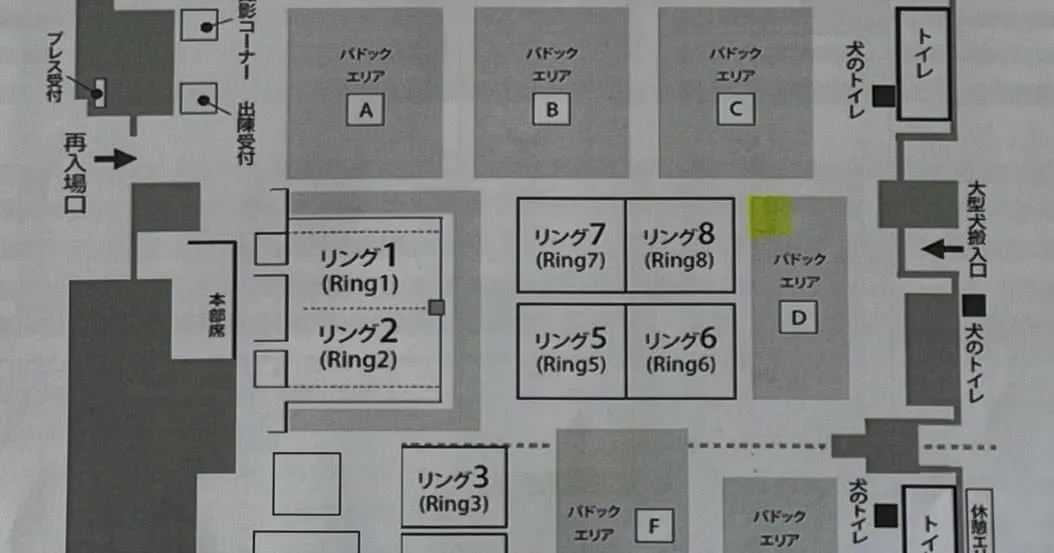 ◯ドッグショー◯