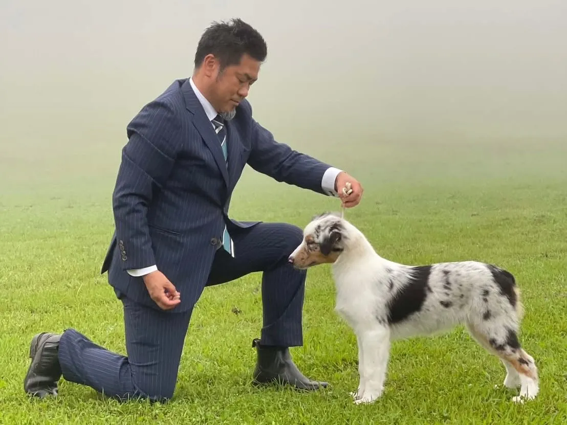 ◯ドッグショー◯