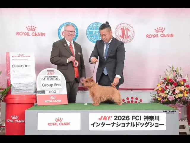 ◯ドッグショー◯