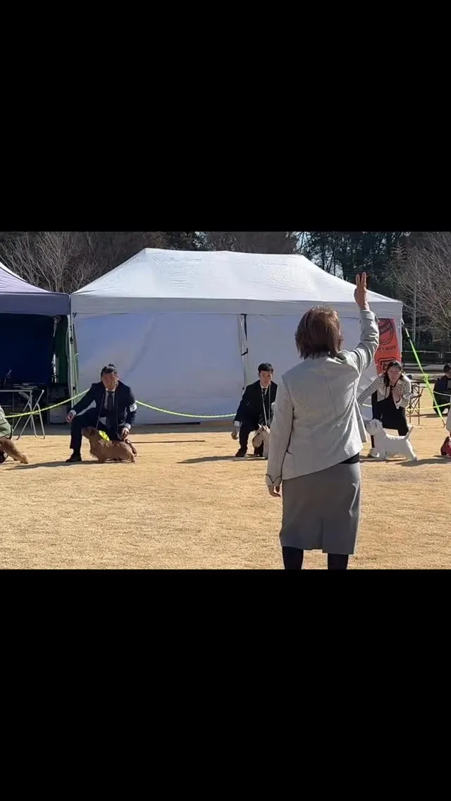 ◯ドッグショー◯