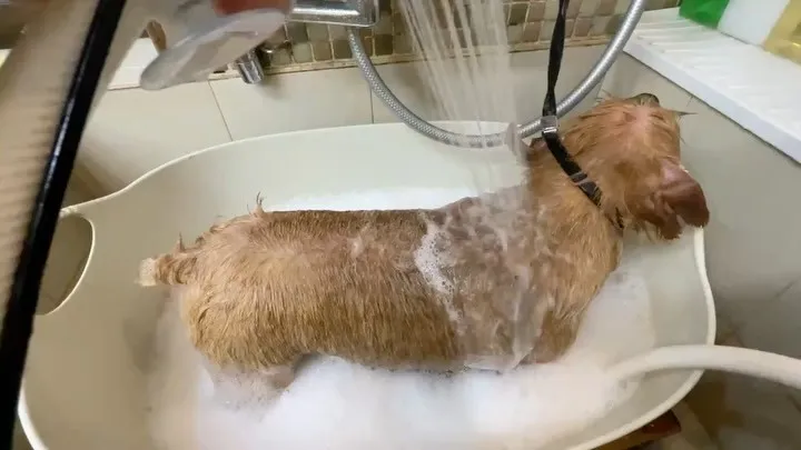 ◯プラッキング◯